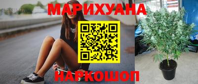 spice Бузулук